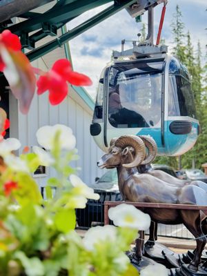Banff Gondola by null Banff Gondola by null