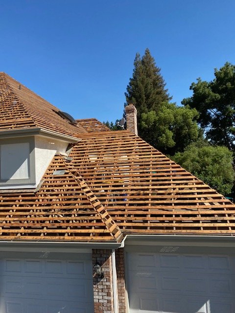 Slide of Chingon's Tear Off 