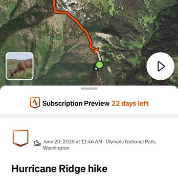 Olympic National Park - Strava: Hurricane Ridge - Parks Near Me - Port Angeles, Washington