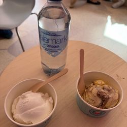 MooGoo Ice Cream House - Lemon lime sorbet, water, and banana split ice cream