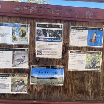 Mount Wanda - Birds of Mt. Wanda - Hiking Near Me - Martinez, California