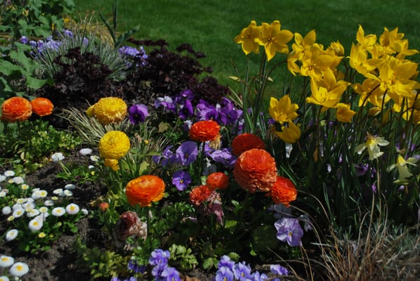 Parc de l'Orangerie by null