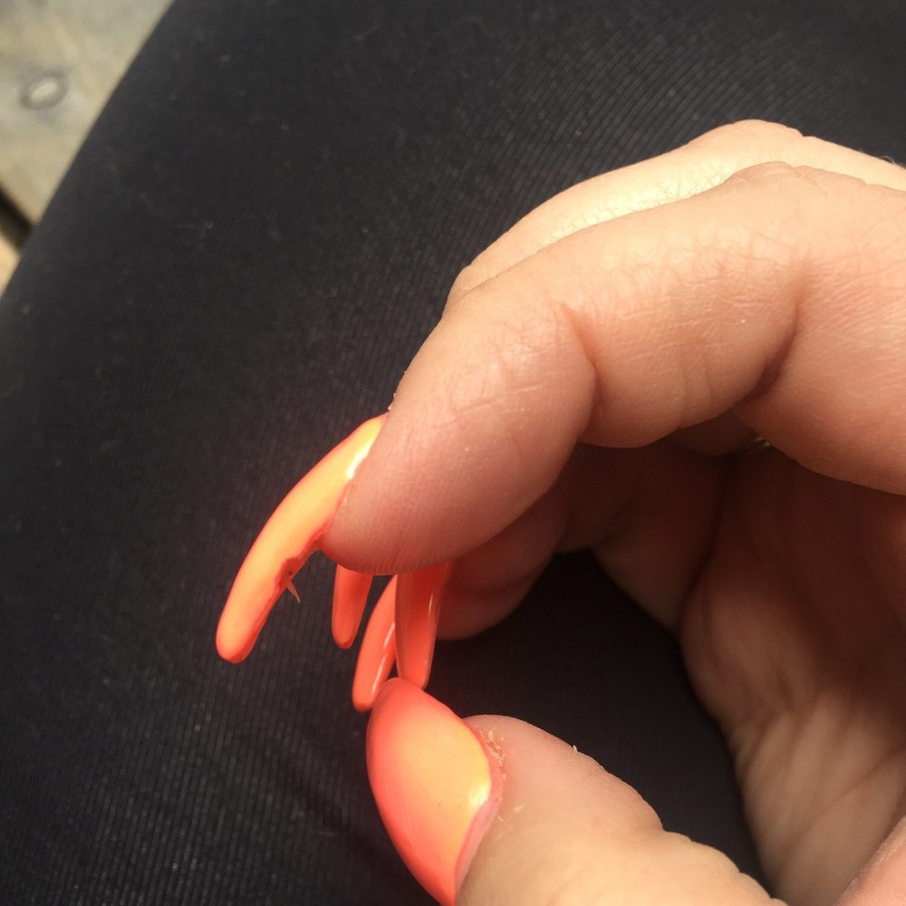 Fancy Nails - Nail Salons Near Me - Scotts Valley, California