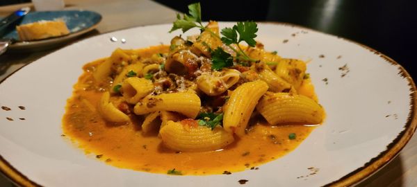 Salt & Stone by null