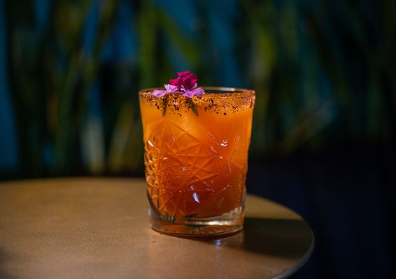 The Velvet Hippo Bar & Lounge by null