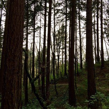 George Hime Park - heavily wooded trails - Hiking Near Me - Portland, Oregon George Hime Park - heavily wooded trails - Hiking Near Me - Portland, Oregon