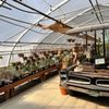 Groovy Plants Ranch gift card