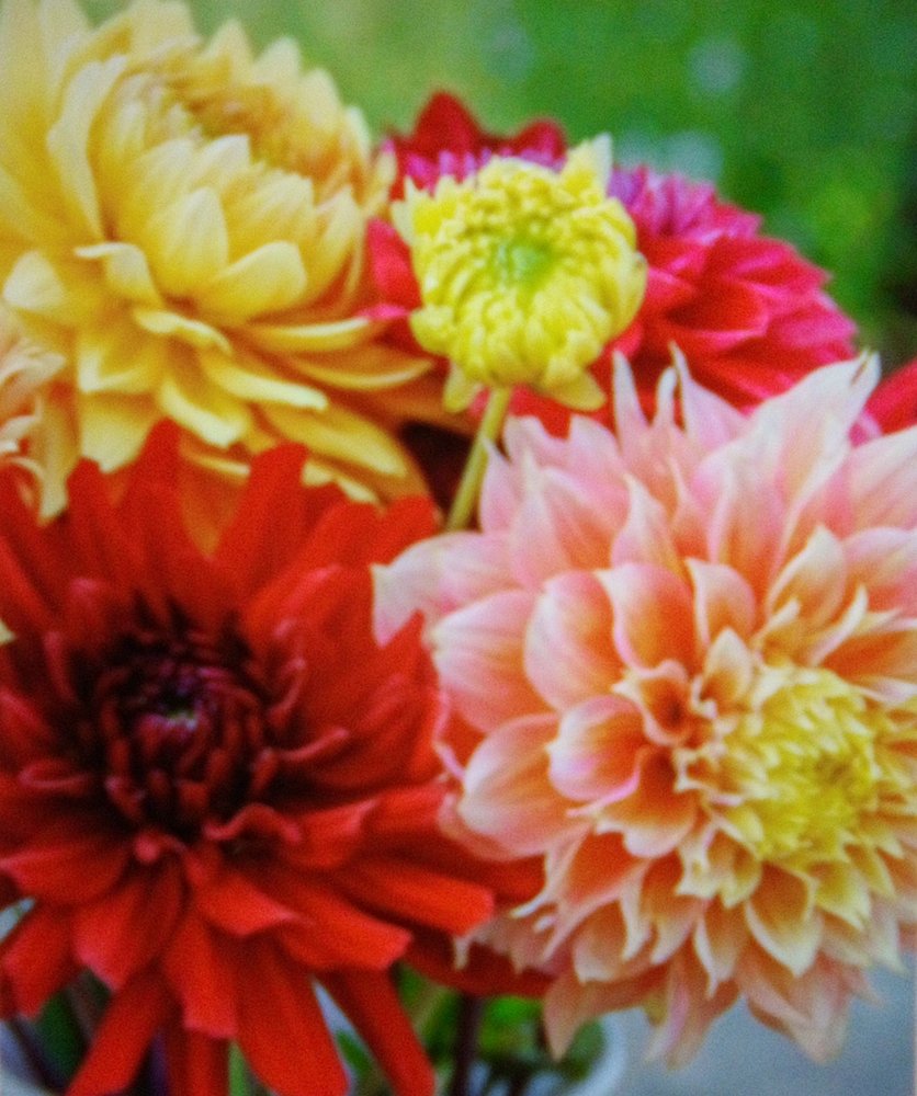 FISHER PARK OUTLET STORE Updated October 2024 14 Photos 4424 Dixie Hwy, Fairfield, Ohio