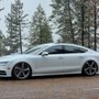 Photo of The Audi Guy