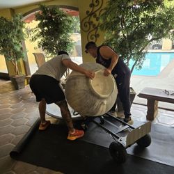 Koala Hauling