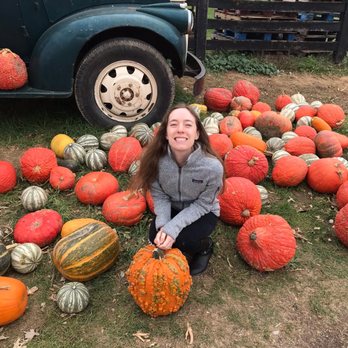 Dollinger Family Farm - Pumpkin Patches Near Me - Channahon, Illinois