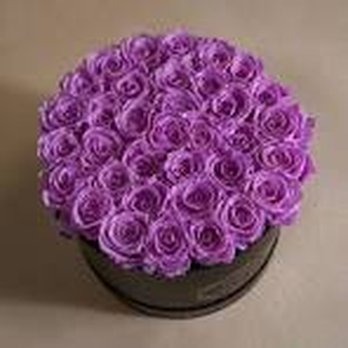 The Purple Rose - Florists Near Me - West Hollywood, California The Purple Rose - Florists Near Me - West Hollywood, California