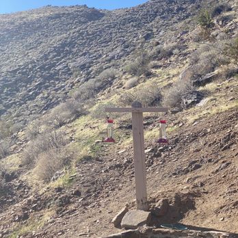 Indian Canyons - Hummingbirds at the Trading Post - Parks Near Me - Palm Springs, California