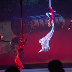 Avatar Aerial Sports