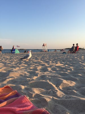 Ocean Beach Park by null