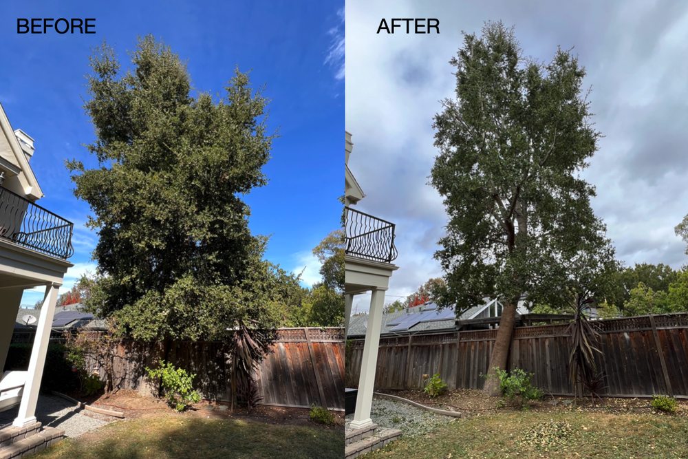 EC TREE SERVICE - Updated November 2025 - 20 Reviews - 76 Logan Ln ...
