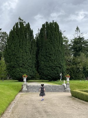 Castlemartyr Resort by null