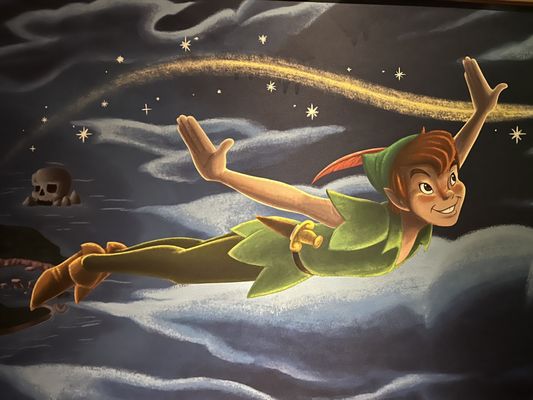 Peter Pan's Flight by null