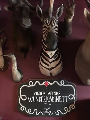 The Viktor Wynd Museum of Curiosities, Fine Art & UnNatural History by null