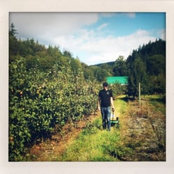 Jones Creek Farms