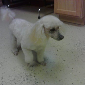 Corner Bark - Pet Groomers Near Me - Ferguson, Missouri