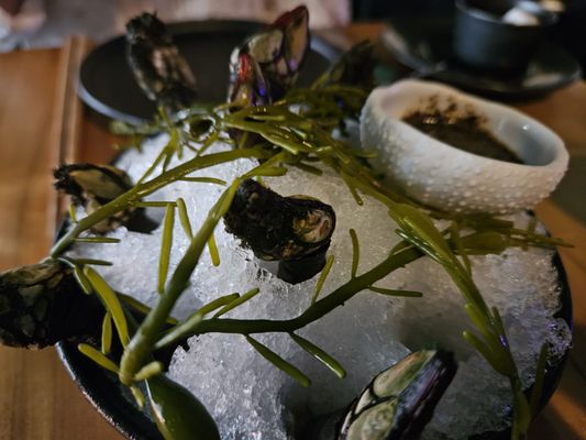 Nightshade Noodle Bar by null