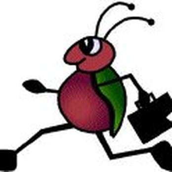 Travel Bug - Travel Agents Near Me Travel Bug - Travel Agents Near Me