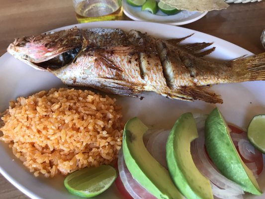 El Grillo Marinero by null