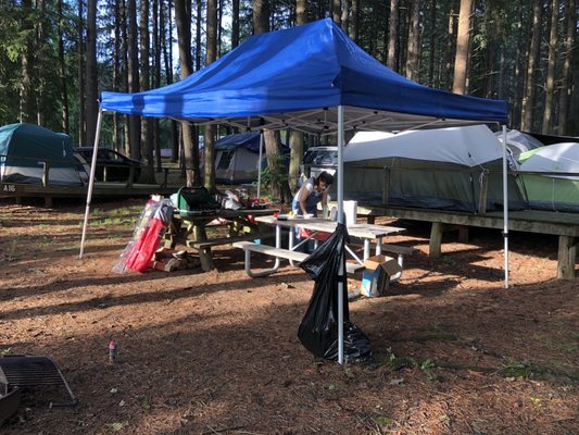 TACONIC STATE PARK COPAKE FALLS AREA Updated July 2024 64 Photos