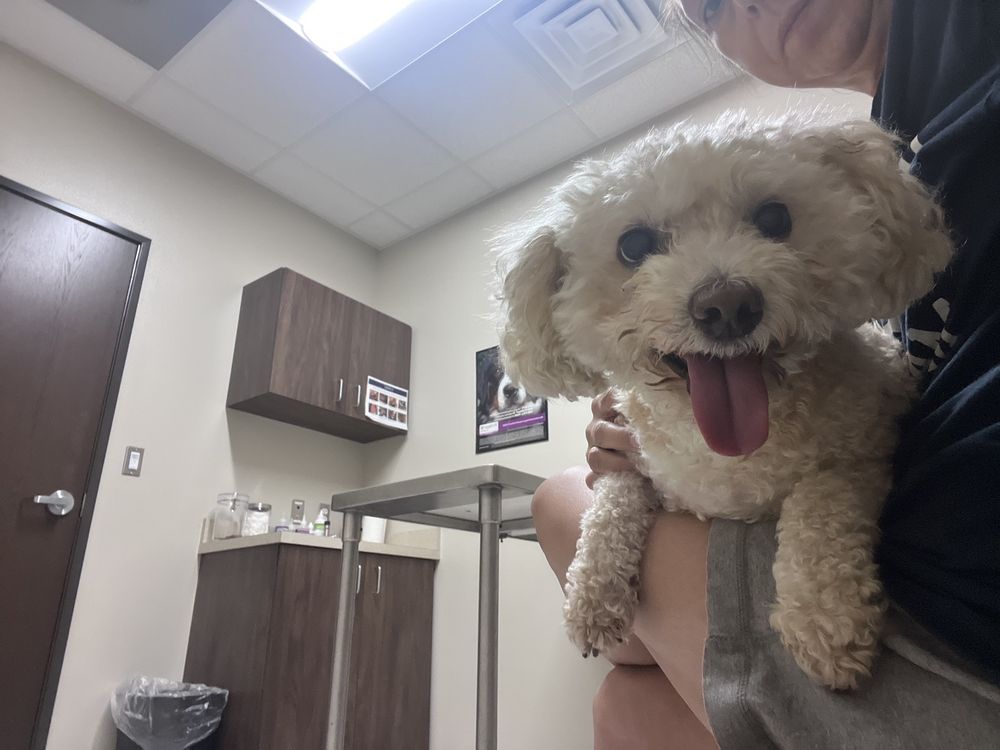 TEJAS VETERINARY CLINIC Updated September 2024 10 Photos & 22 Reviews 15125 Nw Blvd
