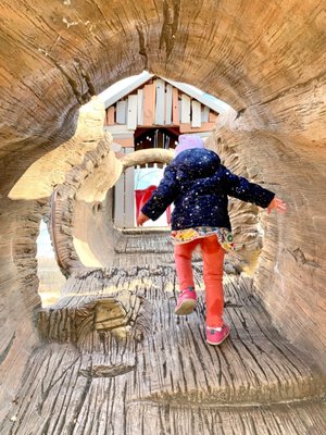 WALKER MILL REGIONAL PARK - Updated January 2025 - 126 Photos - 8840