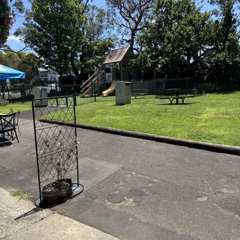 The Teahouse - Restaurants Near Me - Caringbah, NSW