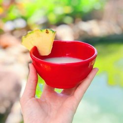 Kava Culture Kava Bar - Bula!