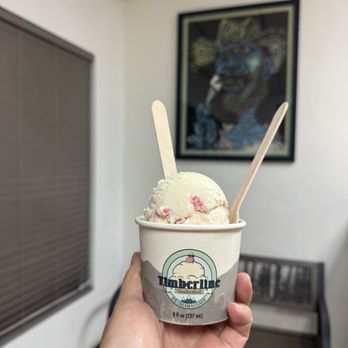 Timberline Ice Cream - Single Scoop of Lemon Berry - Ice Cream & Frozen Yogurt Near Me - Flagstaff, Arizona