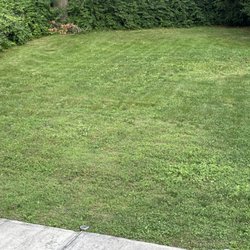 Growin Green Landscape
