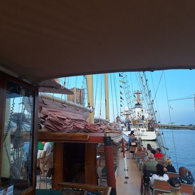 American Rover Sailing Cruises by null