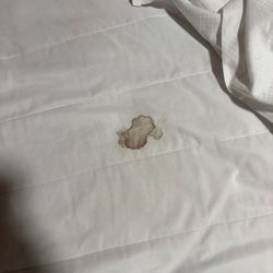 Lake Geneva Lodge - One of the blood stained mattress pads