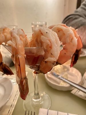 Tempest Oyster Bar by null