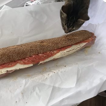 Mazzanti's Market - Alfie doesn't always like what we bring home but he loves their prosciutto - Delis Near Me - Bristol, Pennsylvania