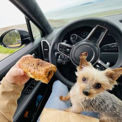 Bigfoot Donuts - A pastry from heaven.