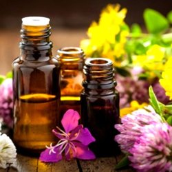 Zendulgence Salon and Spa & Mobile Spa Services - Add on Aromatherapy to your services