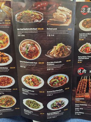 Menu photo 3 Taste of Urumqi Flushing, NY Menu photo 3 Taste of Urumqi Flushing, NY