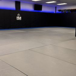 Freestyle Fighting Academy