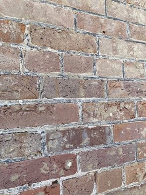 Falcon Rest Mansion & Gardens by null