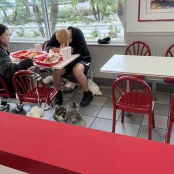 In-N-Out Burger - 4 None service dogs barking!!!! - Burgers Near Me - Rialto, California In-N-Out Burger - 4 None service dogs barking!!!! - Burgers Near Me - Rialto, California