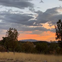 Parker Canyon Lake Outfitters