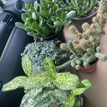 Estabrook's - Nurseries & Gardening Near Me - Yarmouth, Maine