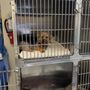 Photo of Care Corner Animal Clinic