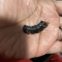 Eyelashes! Just wasted my $$