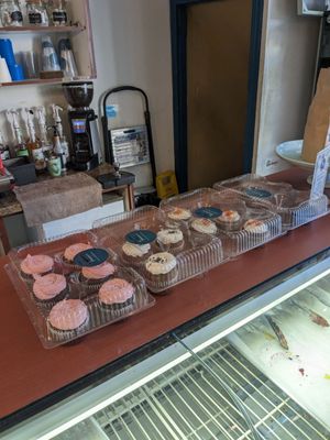 bloomer's Bloor by null